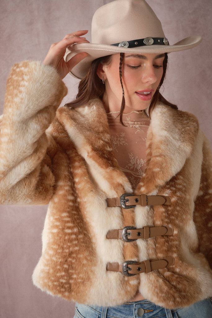 Fawn